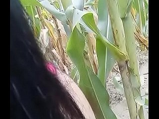 masturbarse en el campo