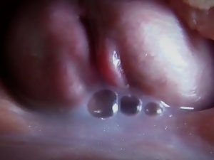 自然受精