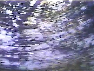 巴西学生很烂。