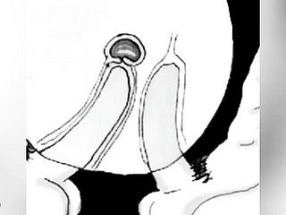 我暨你的屁股，所以我不怀孕 - 漫画boru sumi