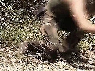 Porn Movie UHD