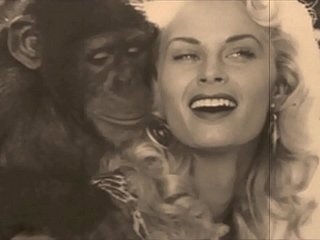 محرمات خمر ، كس و pooch