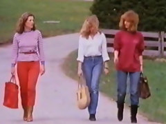 Paris'te üç Dirndl (1981)