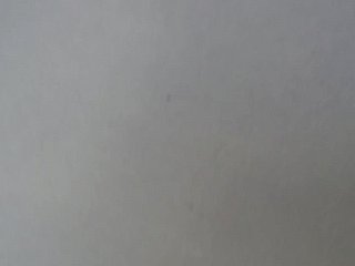 ДСКФ6123[1]