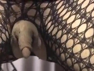 巨大的阴蒂直立