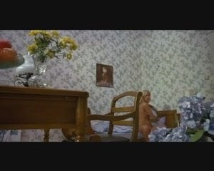 Die Nichten der Frau Oberst