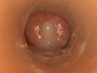 نائب الرئيس داخل Fleshlight Scene- Javdiscovery كوم