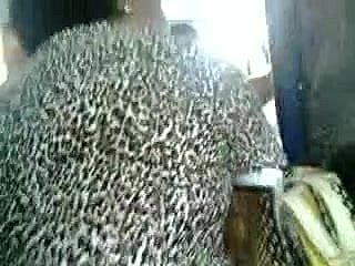 Sentuh lazat pantat nenek milf dalam bas 1