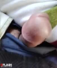 รถบัส Hijabi แฟลช